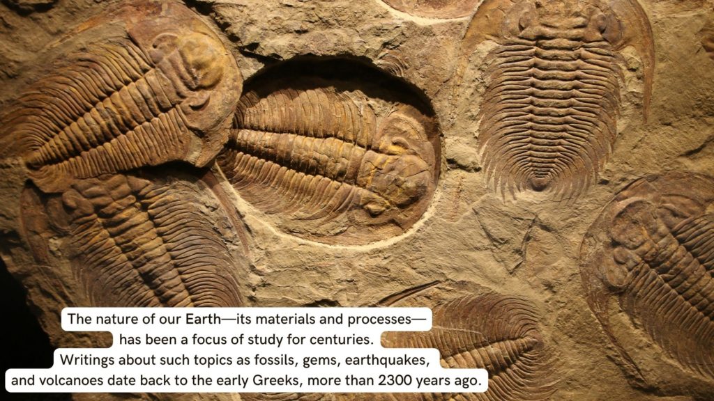 Trilobites fossil