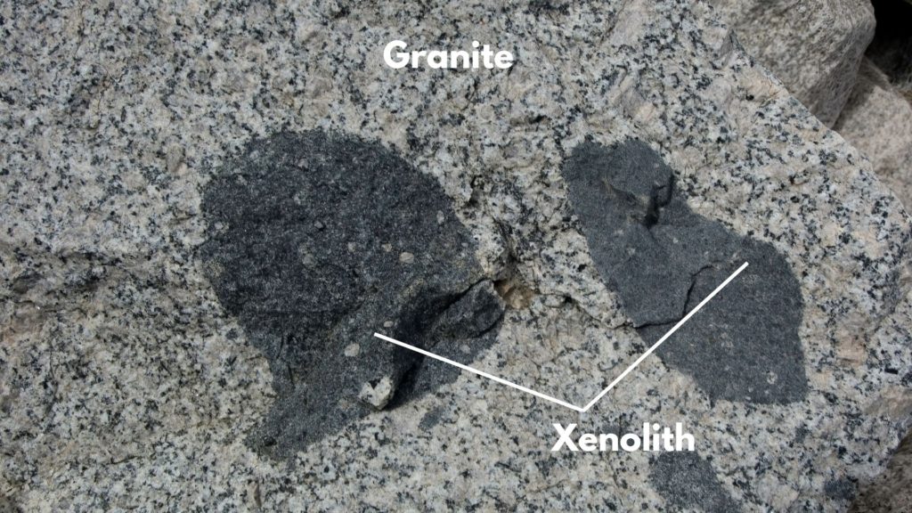 Xenolith in granite