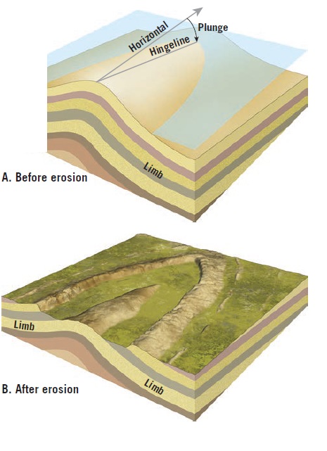 anticlines and synclines