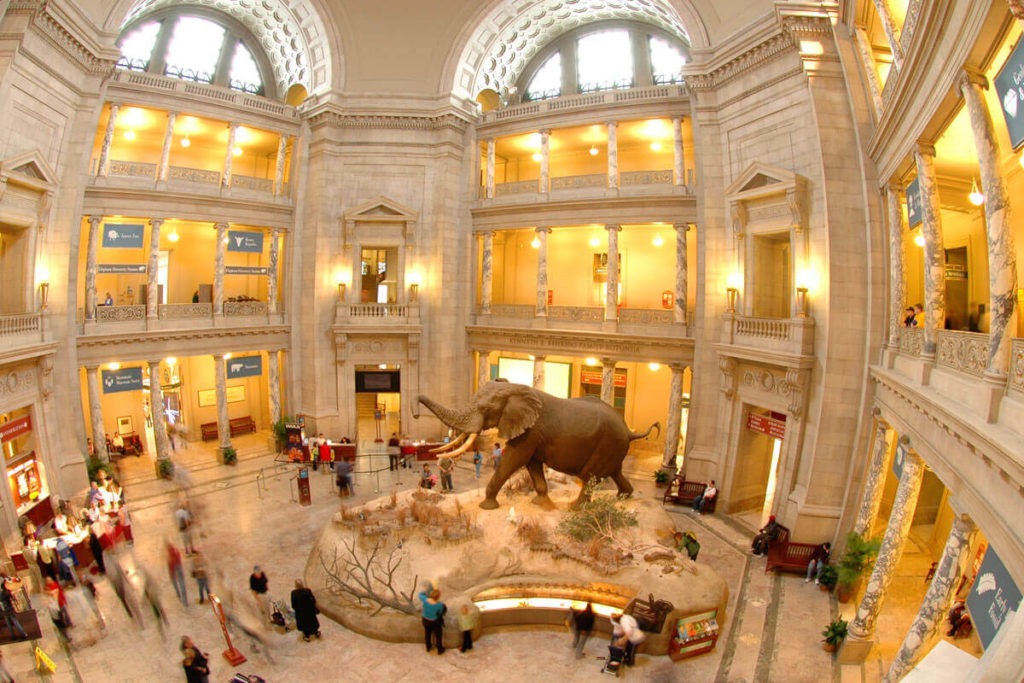 GEOLOGY MUSEUMS IN USA