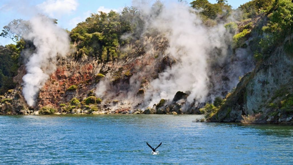 New Zeland geyser