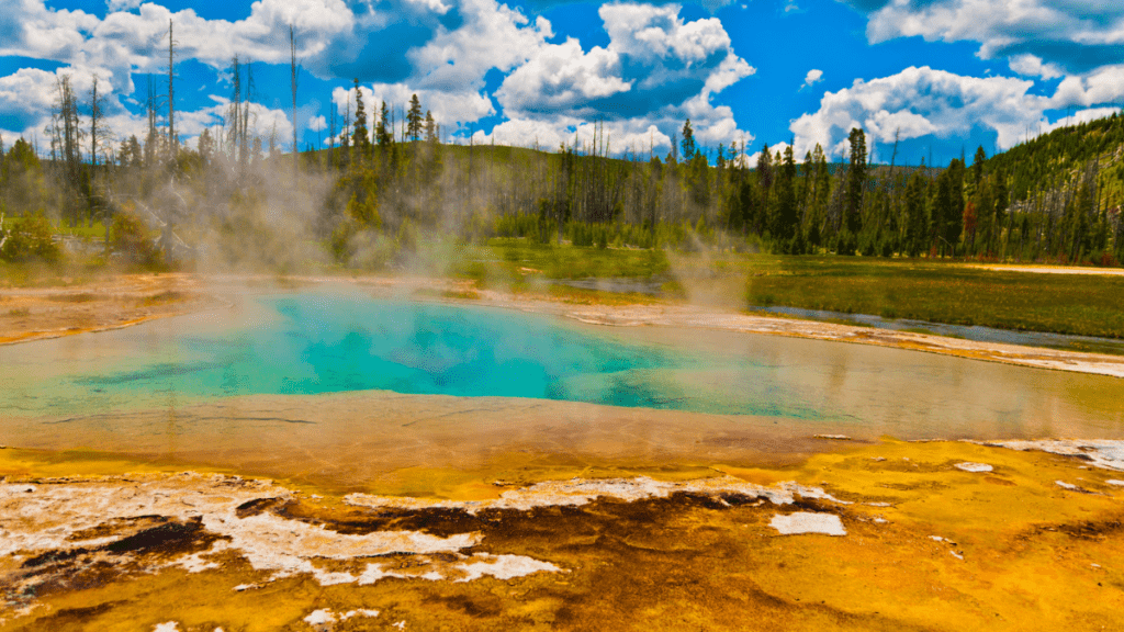 Yellowstone Geyser