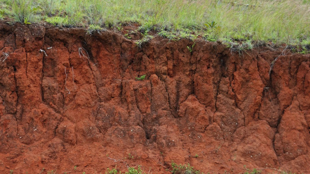 What Is Meant By Cohesive Soils