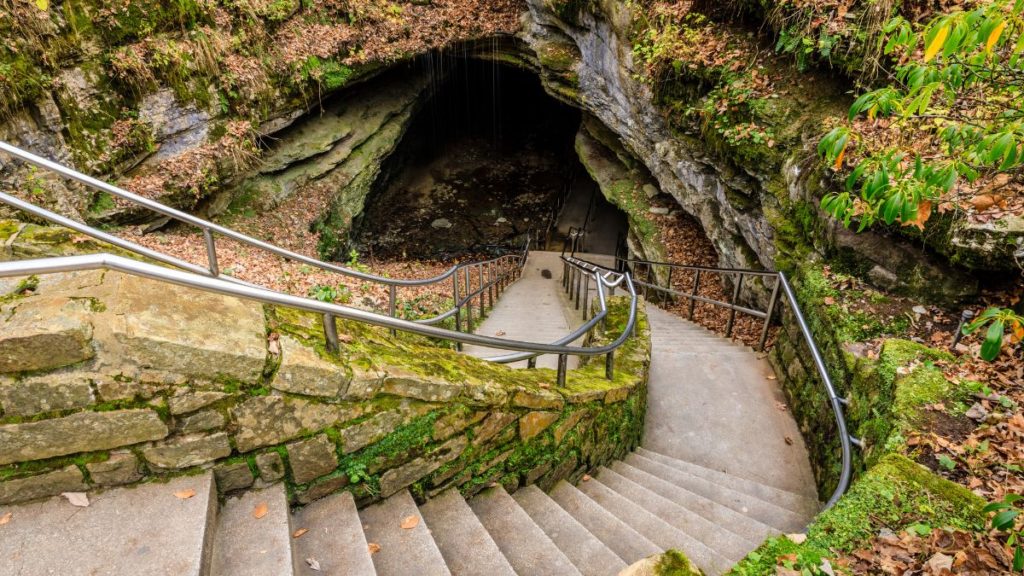 Entrance cave