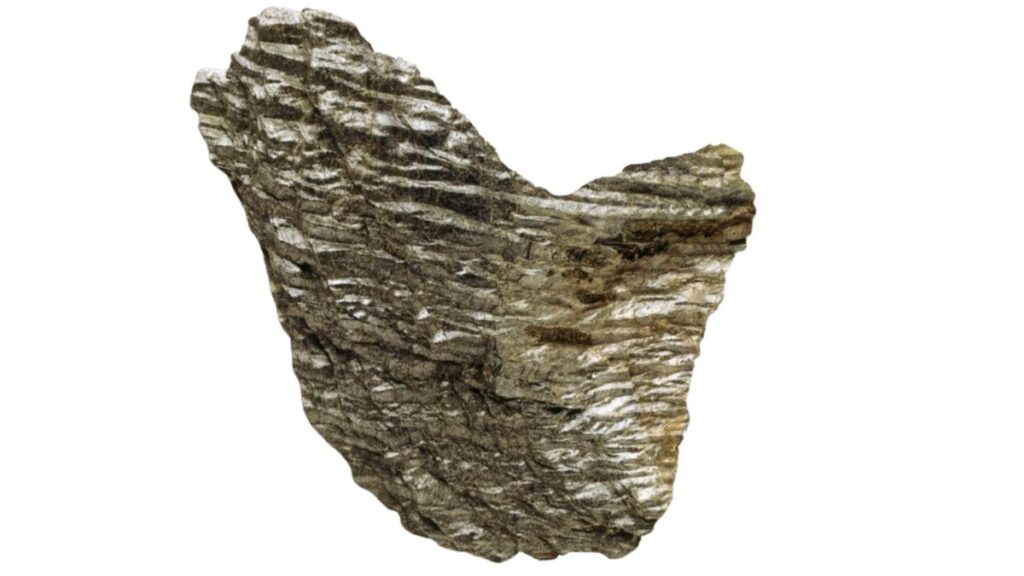 Folded schist