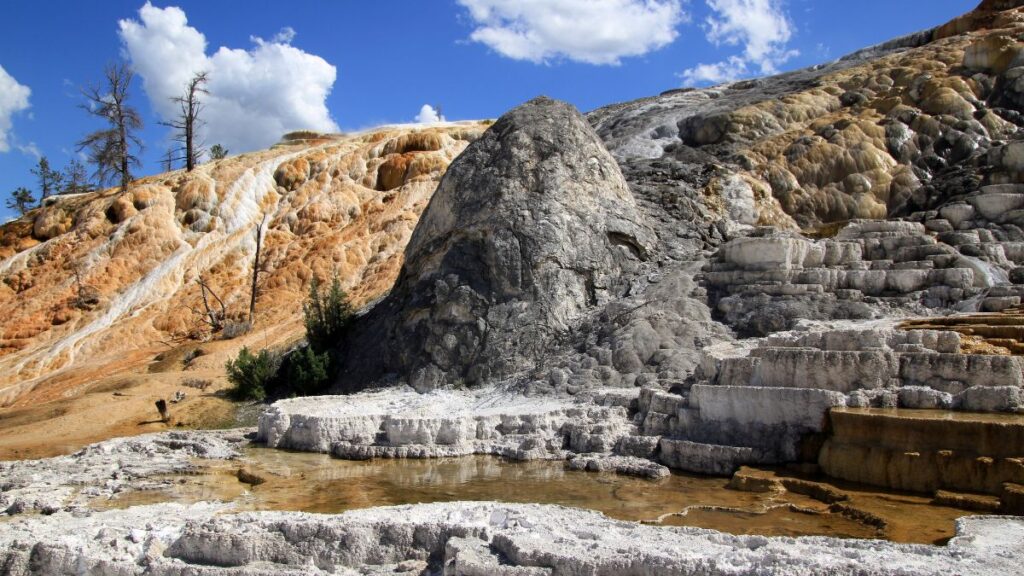 Mammoth Hot Springs in Yellowstone National Park