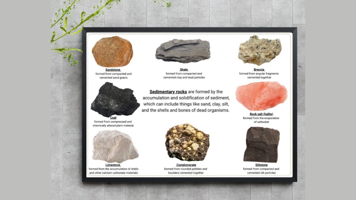 Poster of sedimentary rocks – FREE DOWNLOAD
