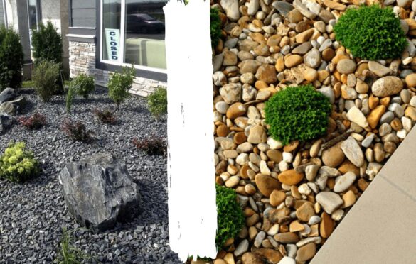 decorative rocks for landscaping (3)