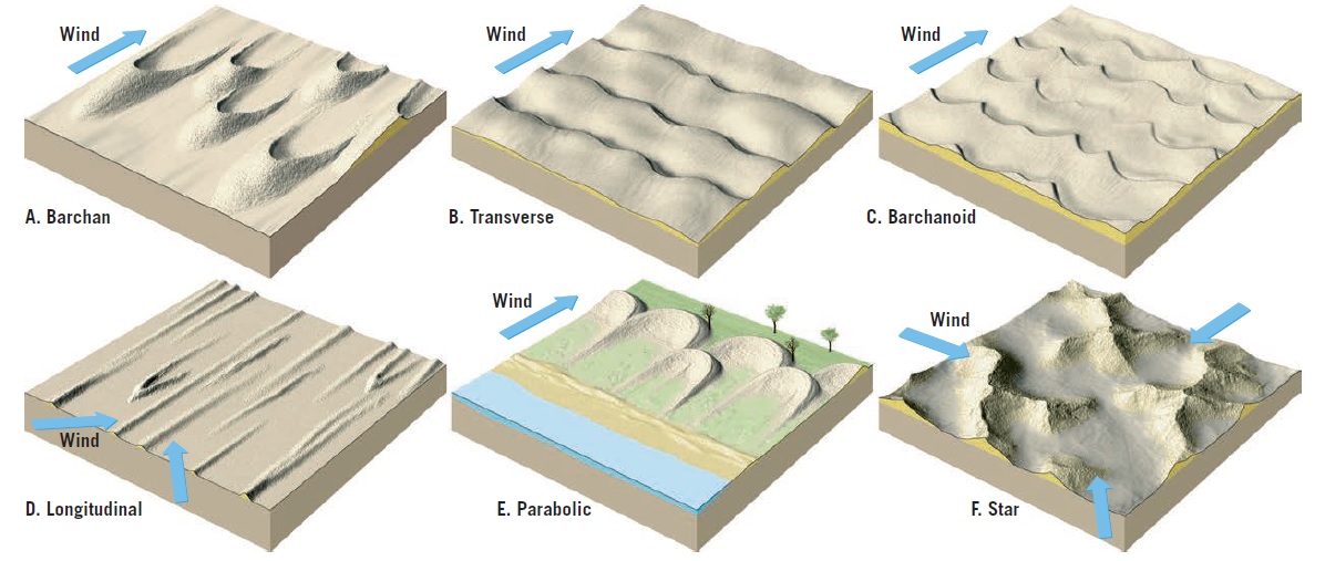 Types-of-sand-dunes - MiMaEd