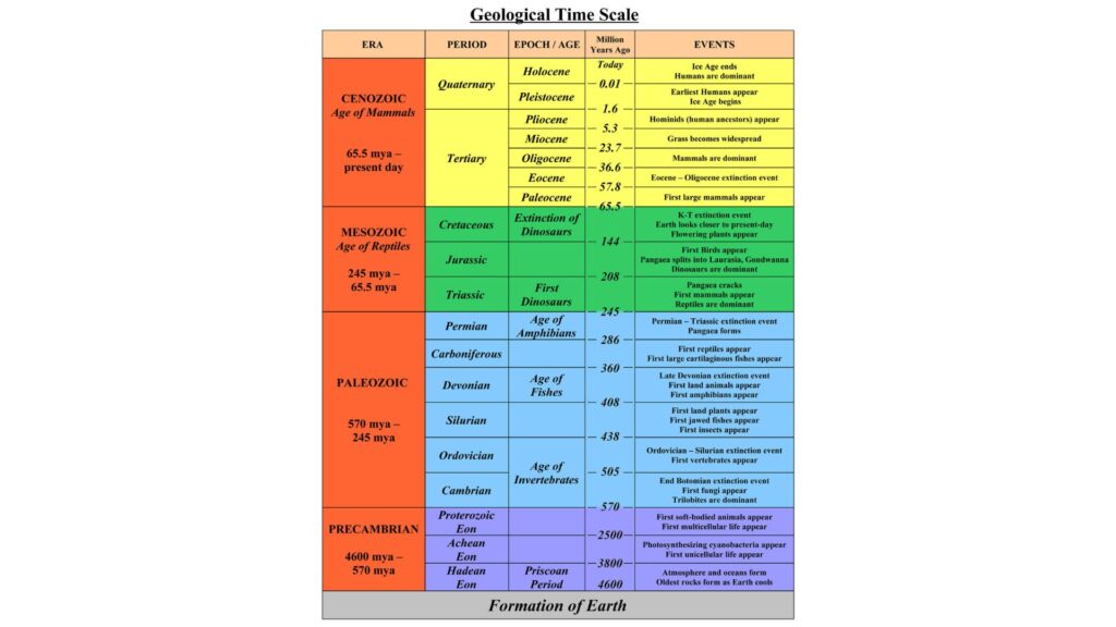                                                           What is the geologic time scale? lesson review answers