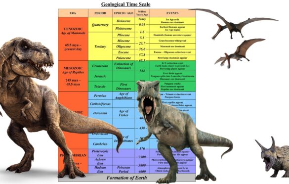 What is the geologic time scale lesson review answers_MIMAED