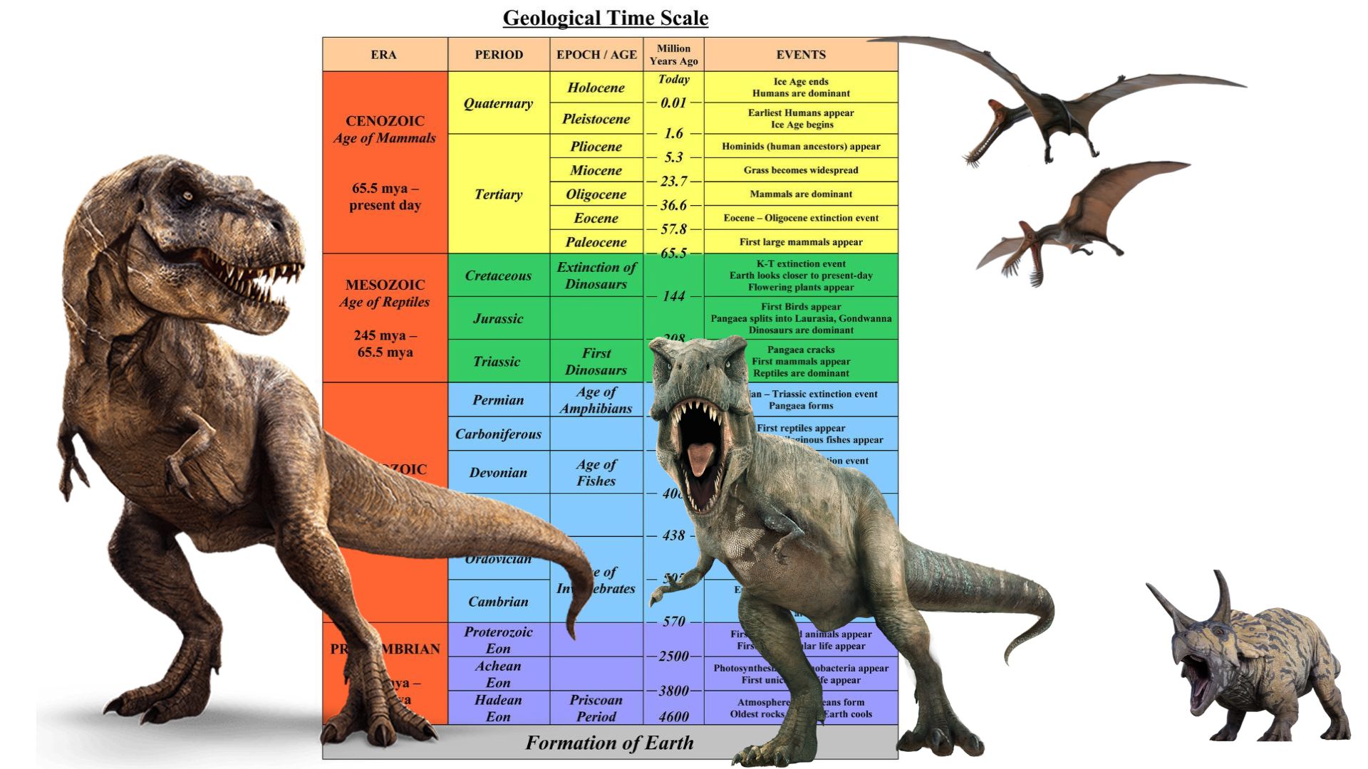 What is the geologic time scale? lesson review answers