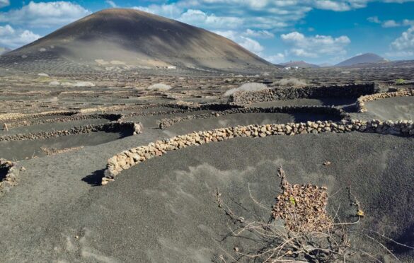 Volcanic Soils