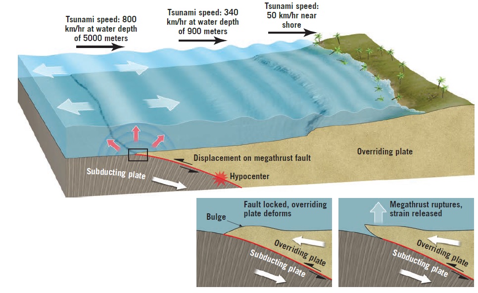 What Is a Tsunami?