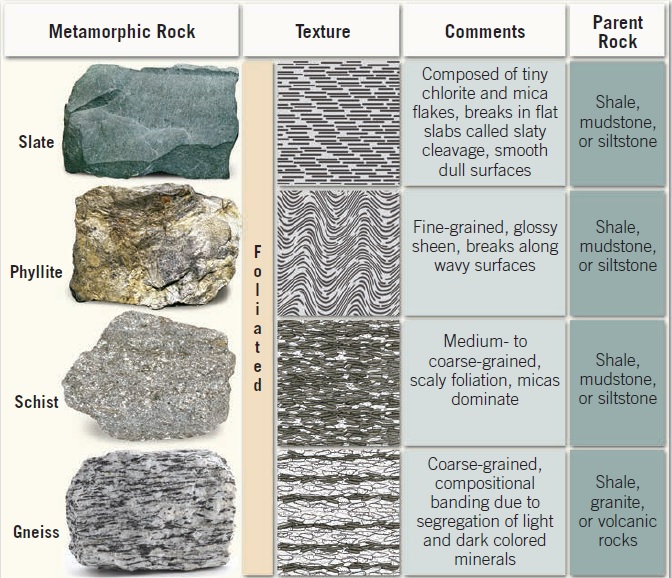 Foliated Metamorphic Rock