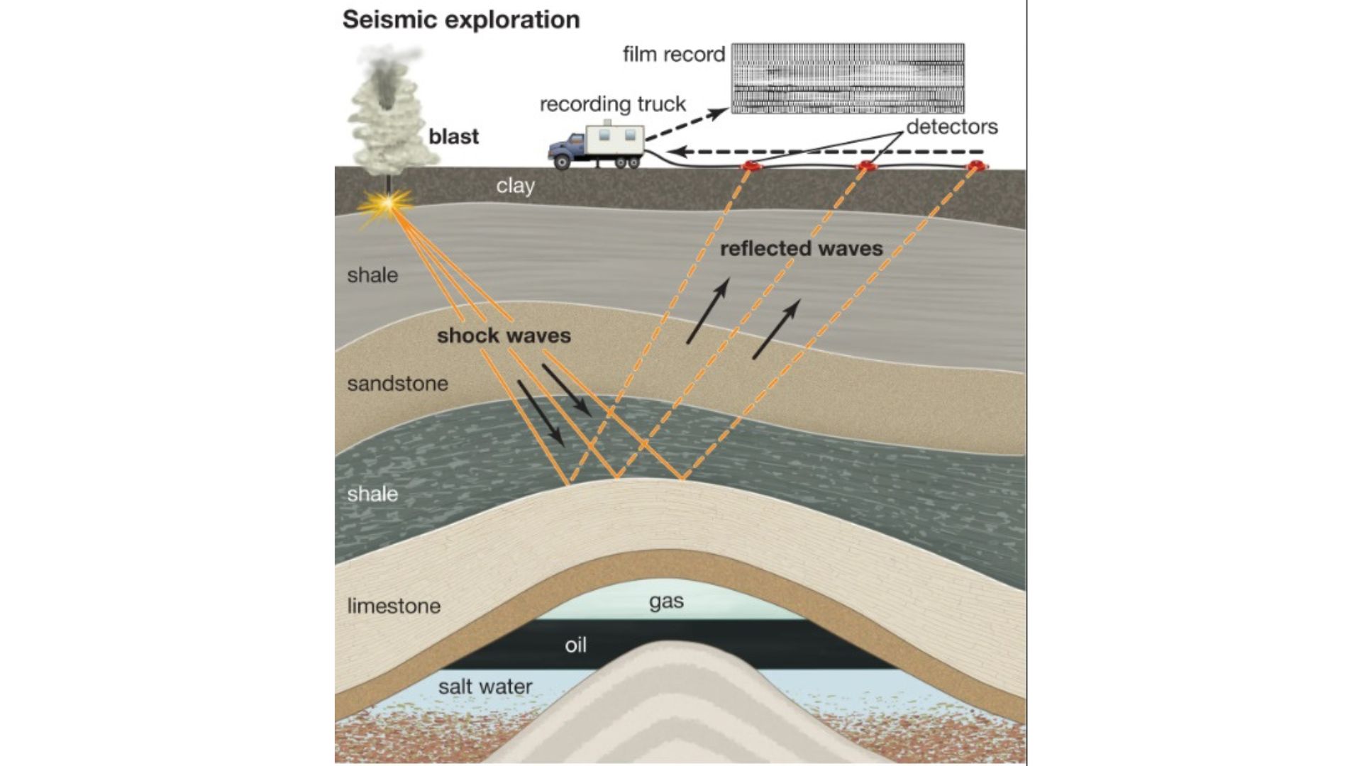 Seismic Reflection