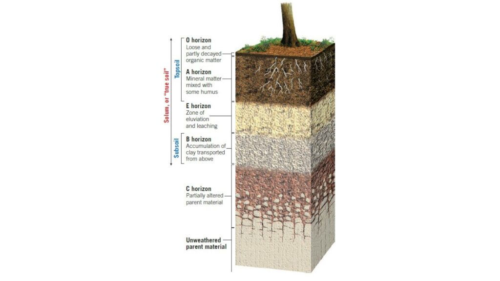 The Nature of Soils