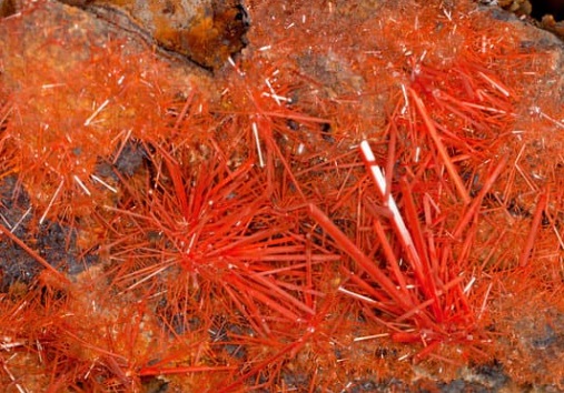 Crocoite_