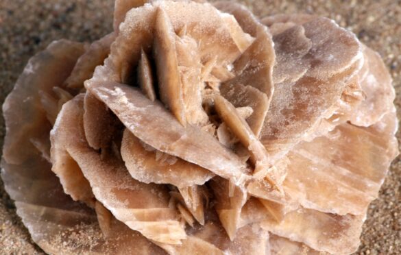 Unveiling the Mystique of Desert Rose: Nature’s Sculptural Wonder