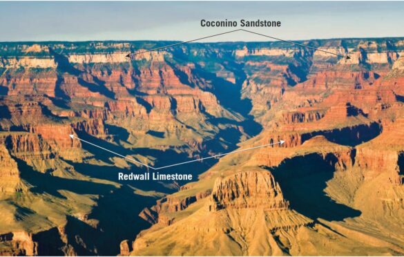 Understanding the Principle of Lateral Continuity in Sedimentary Geology