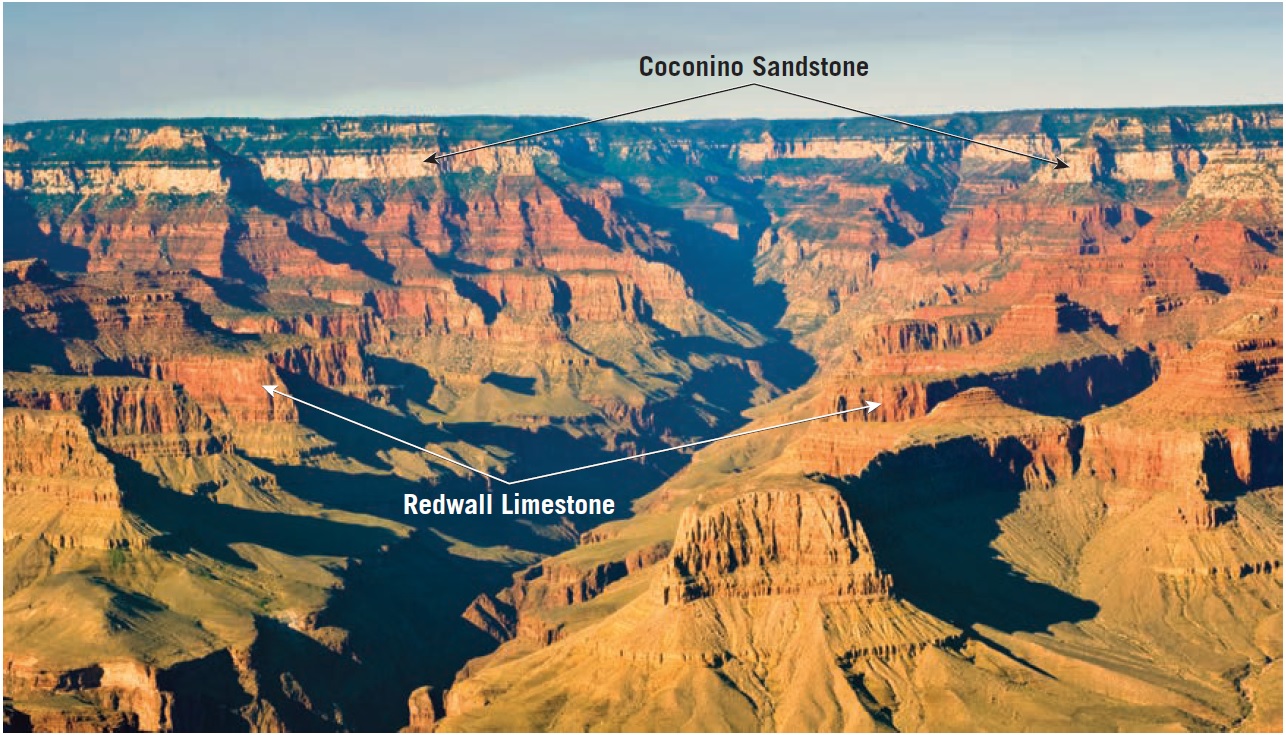 Understanding the Principle of Lateral Continuity in Sedimentary Geology